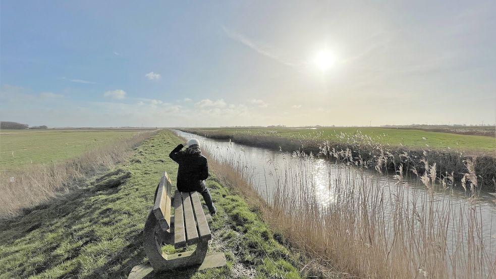 So weit das Auge reicht: Rund um das Freepsumer Meer in der Krummhörn befindet sich viel Landwirtschaft. Fotos: Wittich