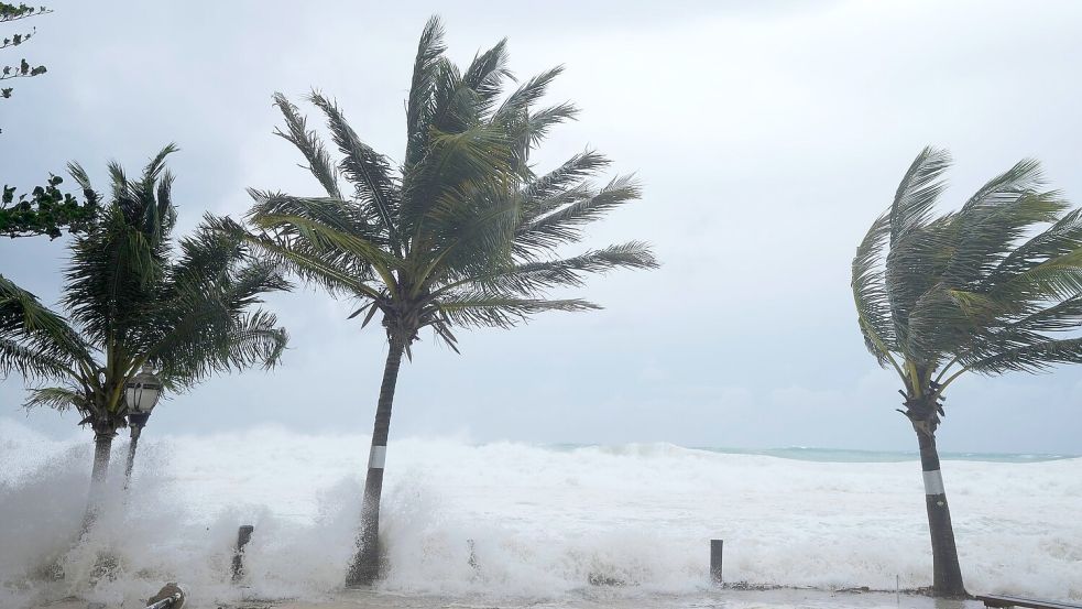 Hurrikan „Beryl“ biegt die Palmen. Foto: Ricardo Mazalan/AP/dpa