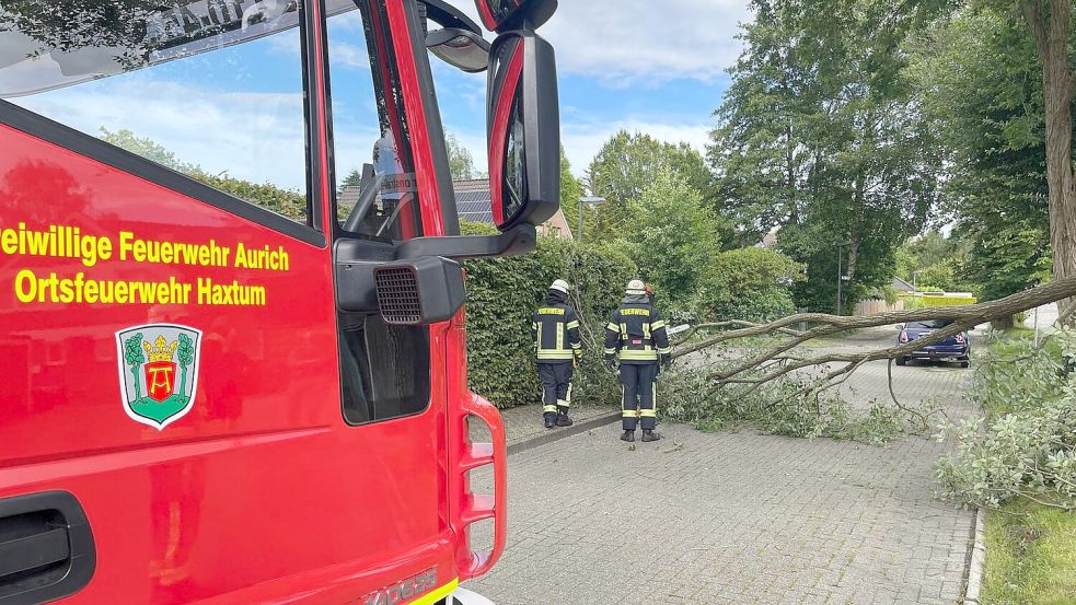 Die Ortsfeuerwehr Haxtum beseitigte einen Baum auf der Rhododendronstraße. Foto: Feuerwehr Haxtum