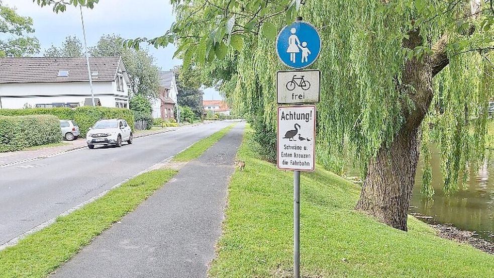 In Jever wurden am Elisabethufer Hinweisschilder auf Enten und Schwäne angebracht. Foto: Stadt Jever