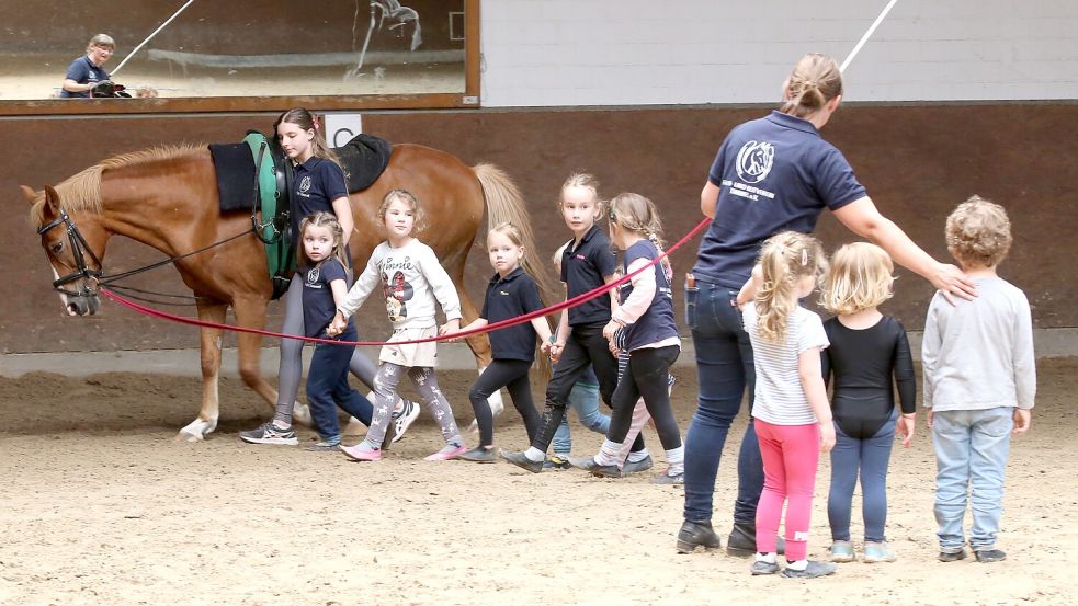 Die jüngsten Mitglieder des Fahr- und Reitvereins Timmel treffen sich wöchentlich zum Voltigieren in der kleinen Halle des RTC. Foto: Böning