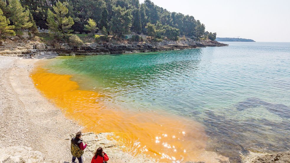 An kroatischen und italienischen Stränden taucht immer wieder Meeresschleim auf und trübt das Badevergnügen. Foto: dpa/Pixsell/XinHua