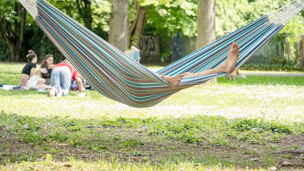 Hochsommer in Deutschland Foto: Frank Rumpenhorst/dpa