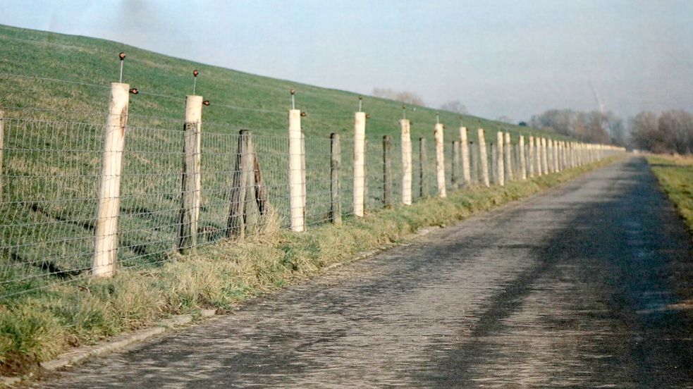 Auf diesem Foto, das die Deichacht Norden am Mittwoch gezeigt hat, ist der landseitige Zaun des Pilotprojekts „Wolf und Deich“ in Osterstader Marsch zu erkennen. Foto: Romuald Banik