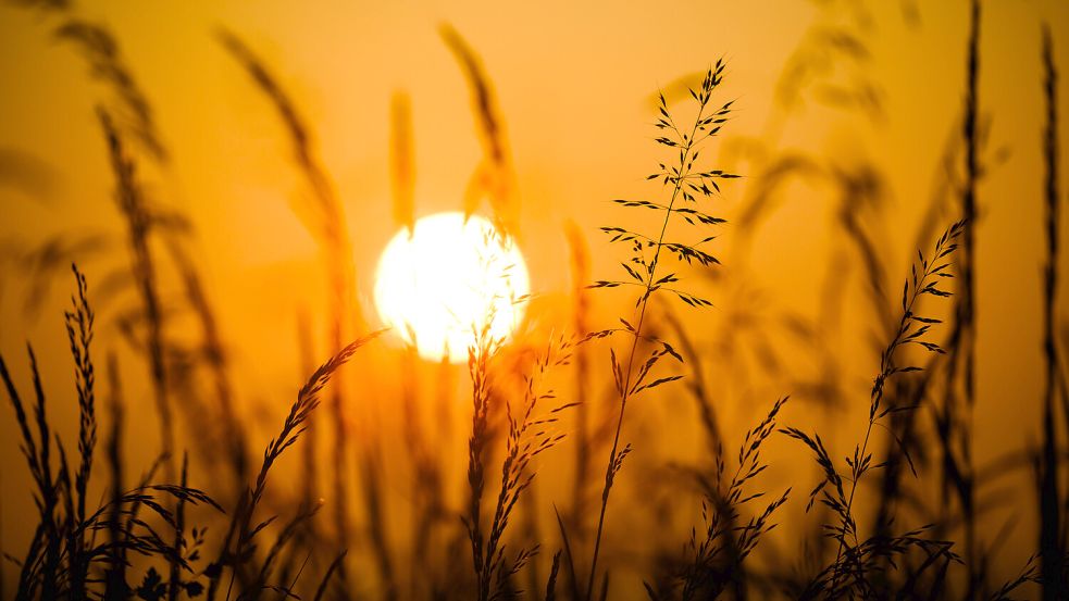 Sonnenschein in Niedersachsen: In den kommenden Tagen wird es wieder sehr heiß. Foto: dpa/Julian Stratenschulte