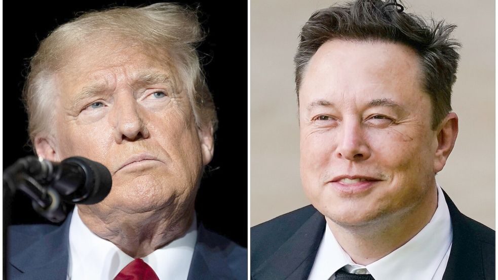 Bei Gewerkschaftlern in Ungnade gefallen: Donald Trump und Elon Musk. Foto: Matt Rourke/Jos‘ Luis Villegas/AP/dpa