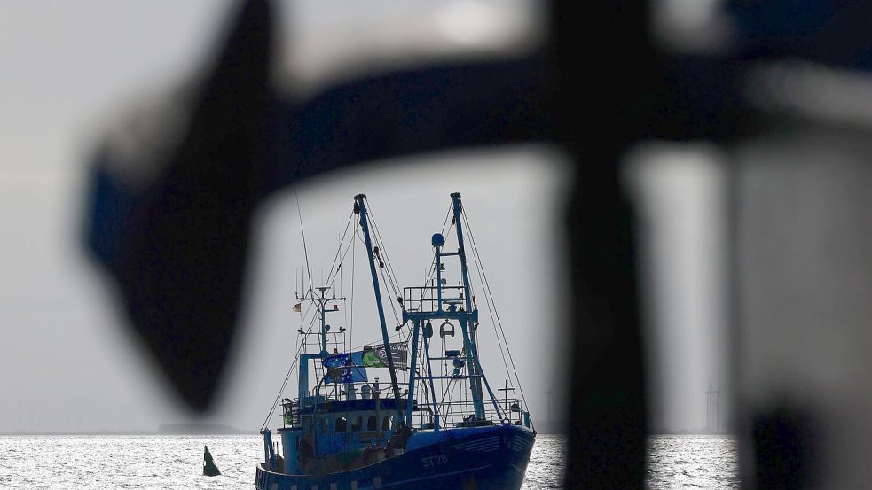 Deutsche Fischer haben 2023 gut vier Prozent mehr FIsch an Land gebracht. Foto: Frank Molter/dpa