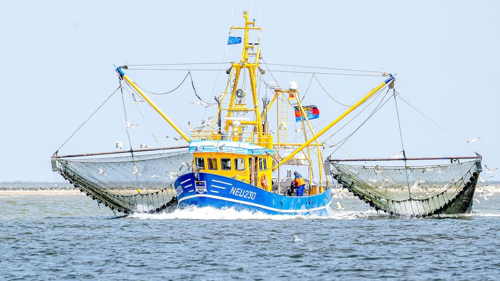 In Cuxhaven vereinbarte ein überparteiliches Bündnis aus Politik, Wirtschaft und Verbänden einen „Zukunftspakt“ für die Küstenfischerei. Foto: dpa/Sina Schuldt