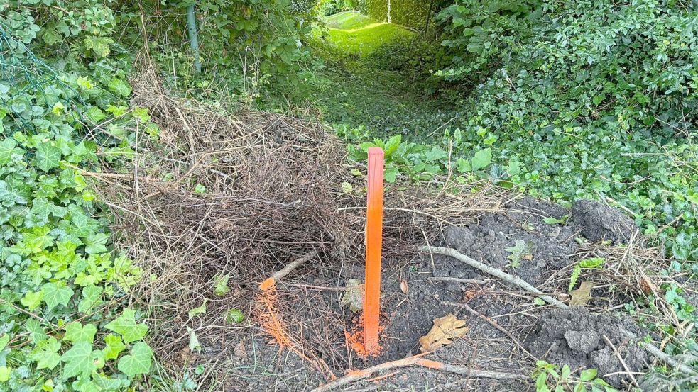 Solche Grenzpflöcke wurden in den vergangenen Tagen an mehreren Gräben im Bereich Riepe/Ochtelbur eingeschlagen. Foto: Aiko Recke