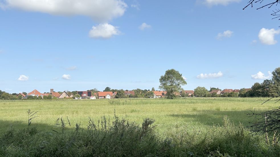 Ob auf dem Baugebiet „südlich Wigboldstraße“ in Norden jemals Häuser gebaut werden, ist offen. Foto: Rebecca Kresse