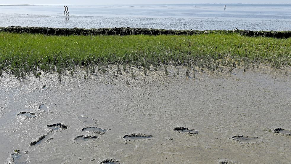 Am Naturstrand von Hilgenriedersiel hinterlassen nur wenige Besucher ihre Spuren. Er entspricht nicht dem klassischen Bild, das viele von einem Strand haben. Wer hierher kommt, sucht die Ruhe und Nähe zur Natur. Foto: Archiv/Ingo Wagner/dpa