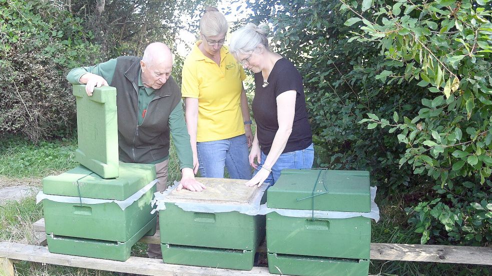 Götz Neuber (von links), Karin Bogena und Marion Gerhardt schauen sich Bienenkästen auf dem Gelände der Naturschutzstation an. Foto: Gerd-Arnold Ubben