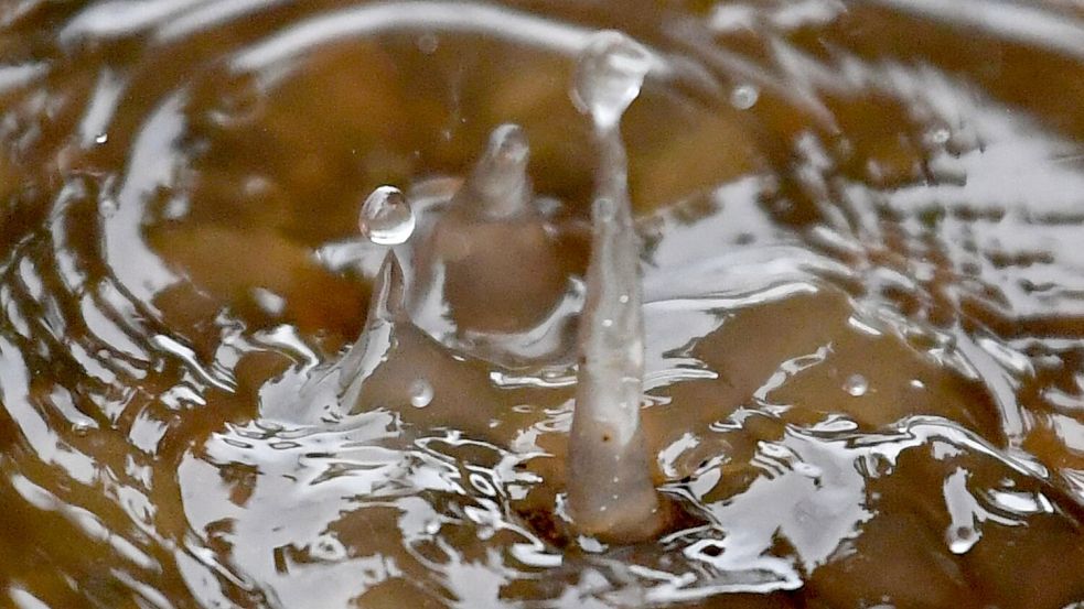 Der Geruch von Sommerregen heißt Petrichor. (Archivbild) Foto: Patrick Seeger/dpa