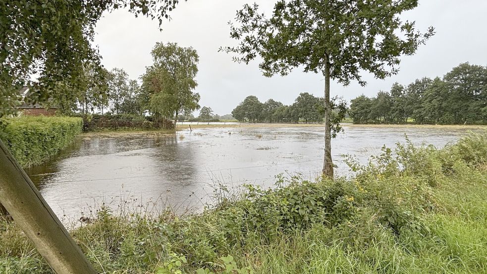 In Theene standen mehrere Wiesen im Bereich der Herrenhüttener Zuggrabens unter Wasser. Foto: Karin Böhmer