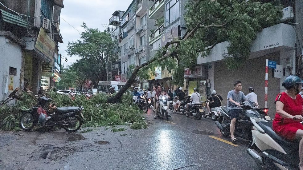 Durch den Taifun sind etliche Bäume umgestürzt. Foto: Aniruddha Ghosal/AP/dpa