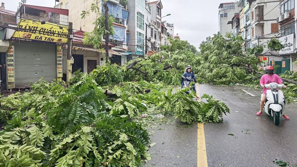 Mehr als 100.000 Bäume wurden entwurzelt. Foto: VNA/XinHua/dpa