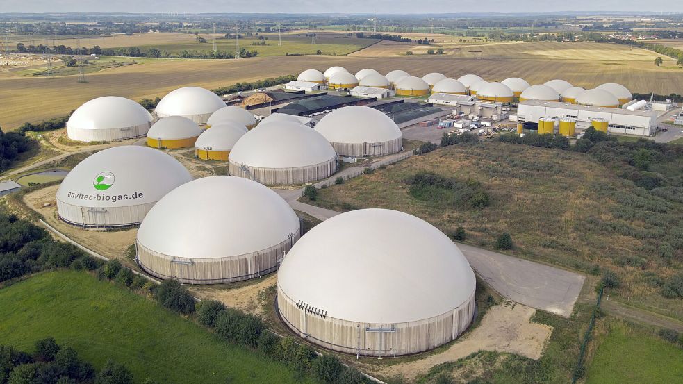 Die Folgen der aufgeflogenen Betrugsmasche bei CO2-Zertifikaten im Ausland treffen besonders die deutsche Biokraftstoffbranche. Foto: dpa/ Bernd Wüstneck