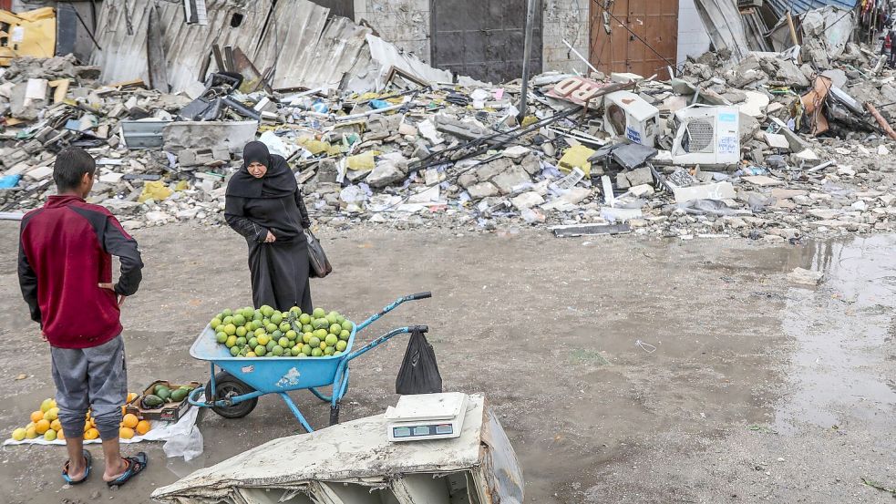 Bis zu 96 Prozent des Landwirtschaftssektors ist im Gazastreifen zerstört (Archivbild) Foto: Mohammed Hajjar/AP/dpa