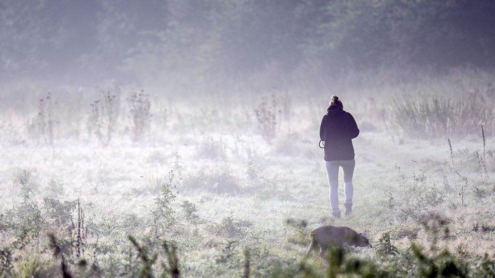 Für das Wochenende ist Dauerregen im Süden und Südosten vorhergesagt. Foto: Federico Gambarini/dpa