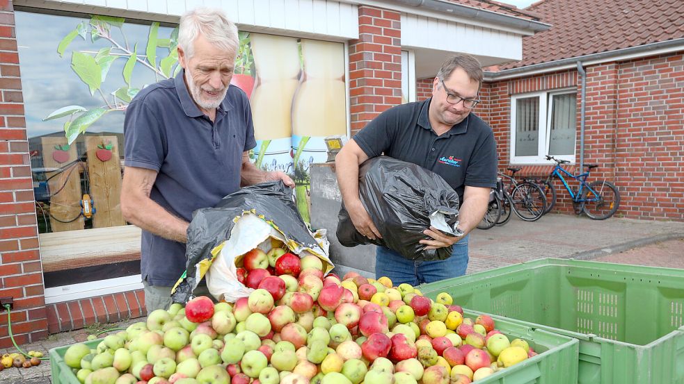 Alwin Wilts (links) und Markus Meenen schütten Äpfel in eine der Boxen von Auricher Süssmost. Foto: Romuald Banik