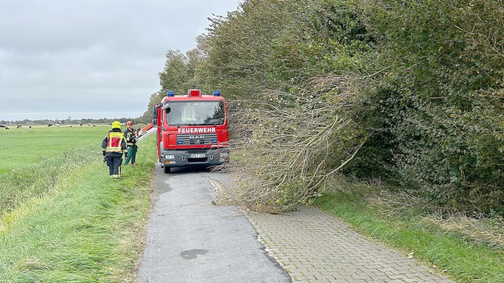 Im Bereich des Tjücher Moortuns in Marienhafe versperrte ein großer Ast die Fahrbahn. Foto: Volker Willms