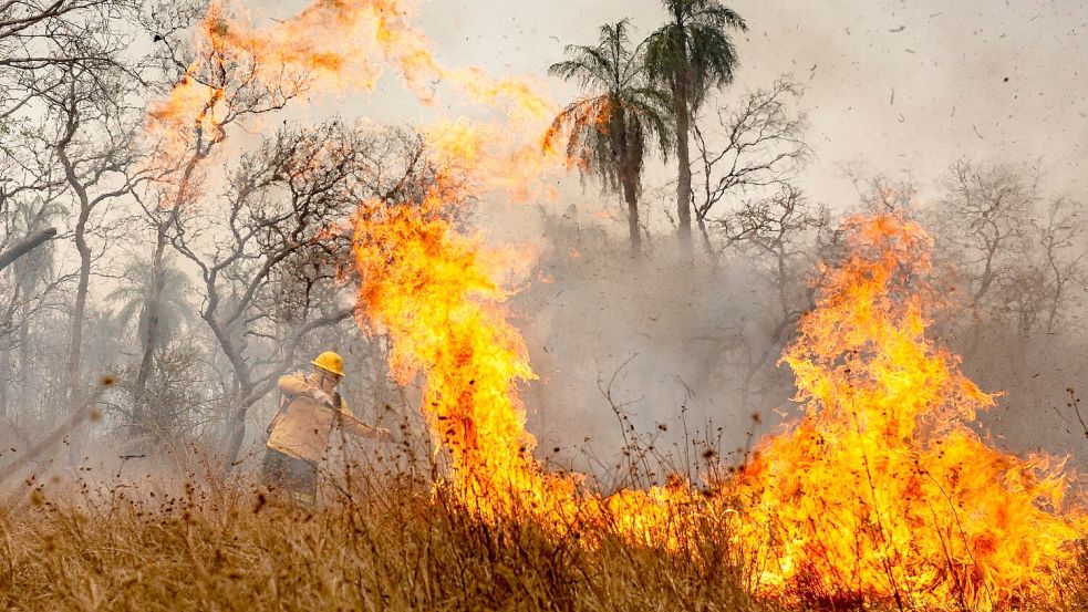 Das Feuer richtet Verwüstung in der gesamten Region an. Foto: Diego Cardoso/dpa