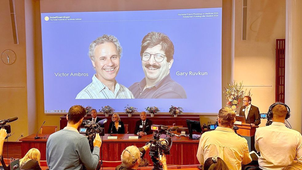 Der Nobelpreis für Medizin geht in diesem Jahr Victor Ambros (li) und Gary Ruvkun für die Entdeckung der microRNA und ihrer Rolle bei der Genregulierung. Foto: Steffen Trumpf/dpa