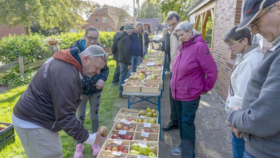 Beim Apfelfest in Upgant-Schott gab es zahlreiche Sorten zum Probieren. Foto: Folkert Bents