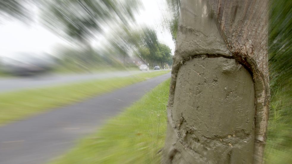 Der Wagen krachte gegen einen Baum. Foto: Holger Janssen