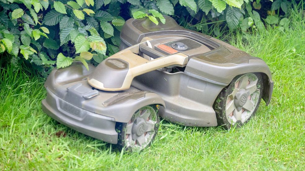 Ein Mähroboter mäht Gras in einem Garten. Foto: DPA