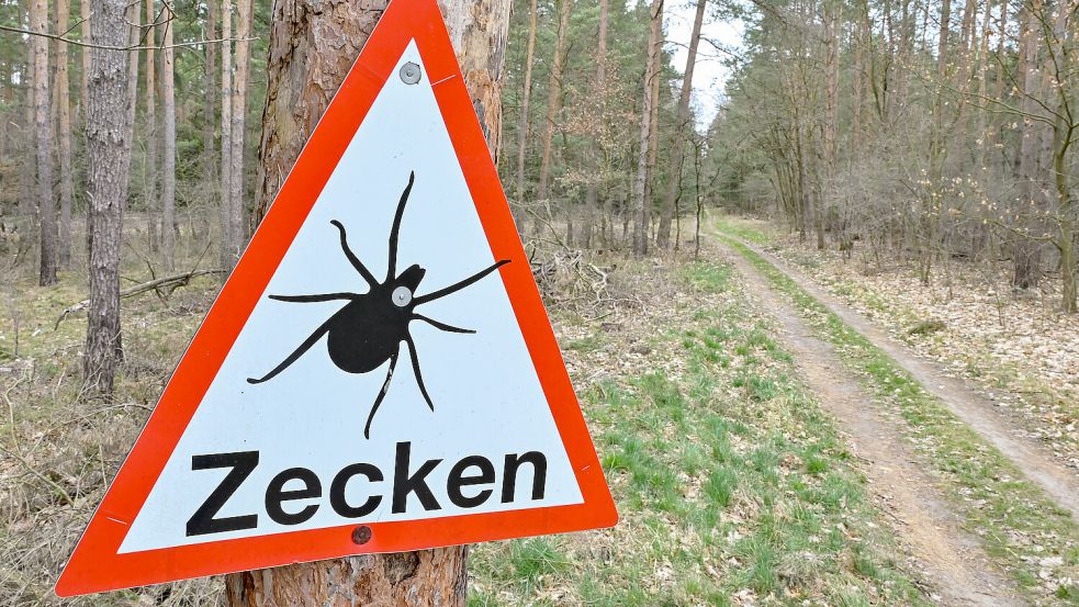 Bei manchen Waldwegen weisen Warnschilder auf die erhöhte Zeckengefahr hin. Foto: dpa/Patrick Pleul