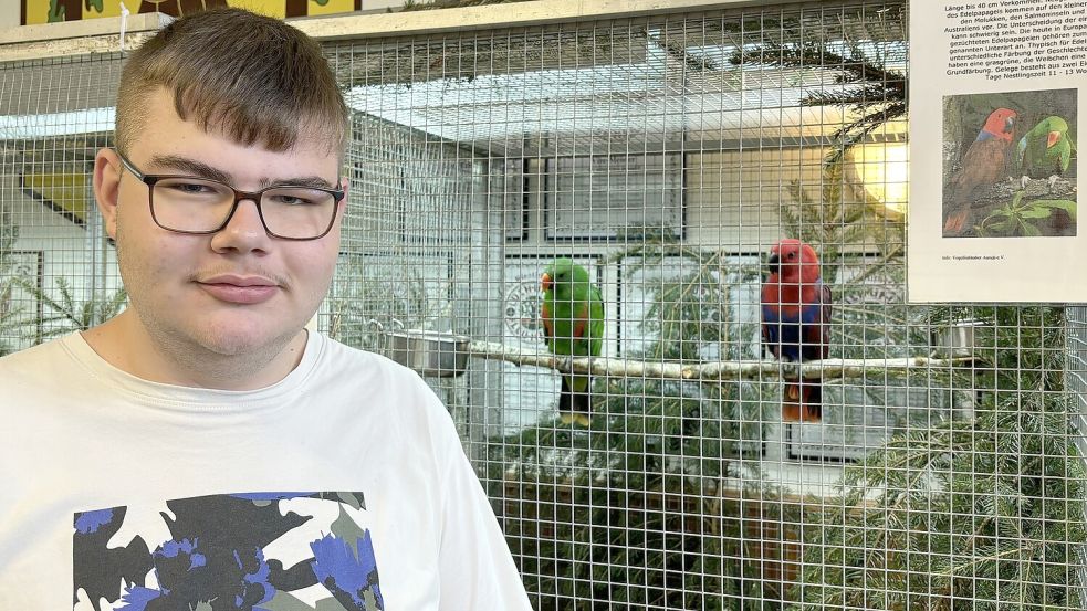 Jarik Eilers mit seinen beiden Neuguinea-Edelpapageien. Foto: Lasse Paulsen