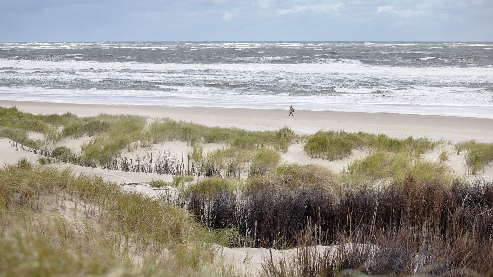 Herbstspaziergänge am Meer: In den kommenden Tagen ist dafür die Gelegenheit günstig. Foto: IMAGO/Priller&Maug