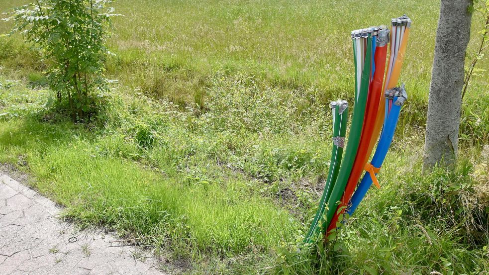 Die Enden mehrerer Glasfaserkabel ragen im Jahr 2022 in Leezdorf aus dem Erdboden. Foto: Thomas Dirks