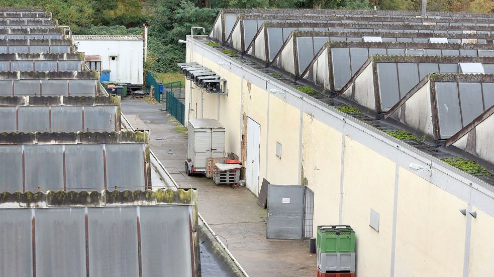 Etwas trostlos wirken die Gebäude auf dem Schlachthofareal. Foto: Karl-Josef Hildenbrand/dpa