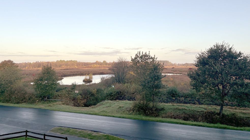 28 Hektar des ehemaligen Hochmoores sollen saniert werden. Hier der Blick auf das Moor vom Aussichtsturm an der Straße „Am Ottermeer“. Foto: Eva van Loh