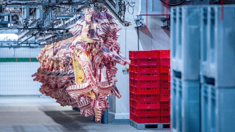 Der Schlachthof wurde am Montag zunächst geschlossen. (Symbolbild) Foto: Jens Büttner/dpa