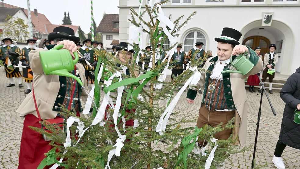 Im oberschwäbischen Kißlegg stand das Gießen des kleinen Narrenbaums an. Foto: Felix Kästle/dpa