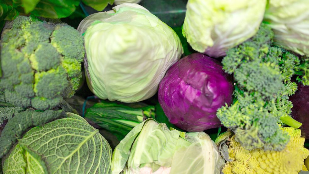 Rotkohl, Weißkohl, Brokkoli: Die Sorten schmecken ganz unterschiedlich, sind aber alle sehr gesund. Foto: dpa/Florian Schuh