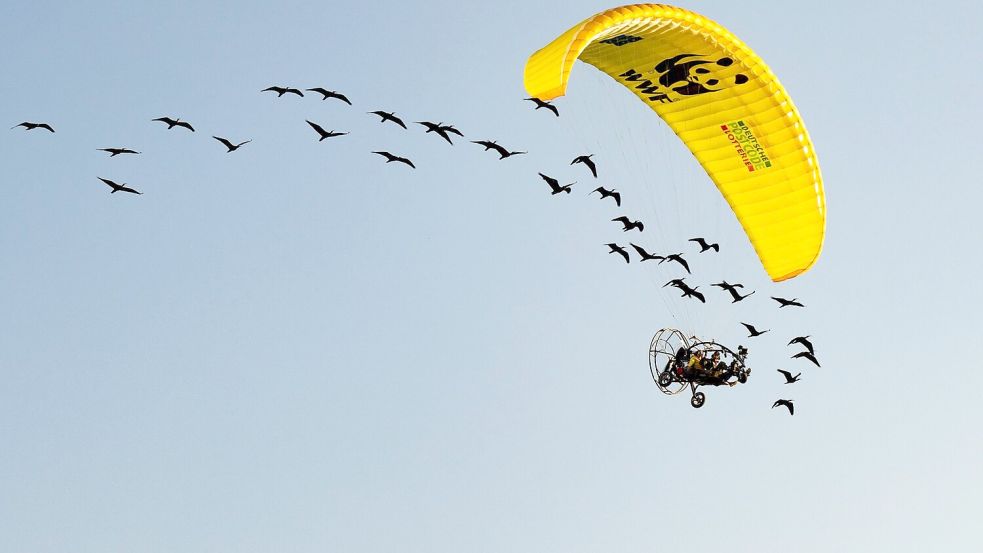 Teile der Strecke mussten die seltenen Vögel auch im Auto zurücklegen. Foto: Gunnar Hartmann/Waldrappteam Conservation and Research/dpa