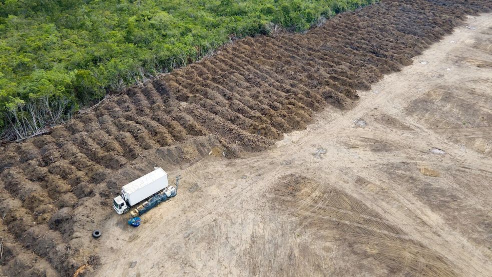 Durch das Gesetz soll die Abholzung des Regenwaldes etwa im Amazonas deutlich reduziert werden. (Symbolbild) Foto: Fernando Souza/ZUMA Press Wire/dpa