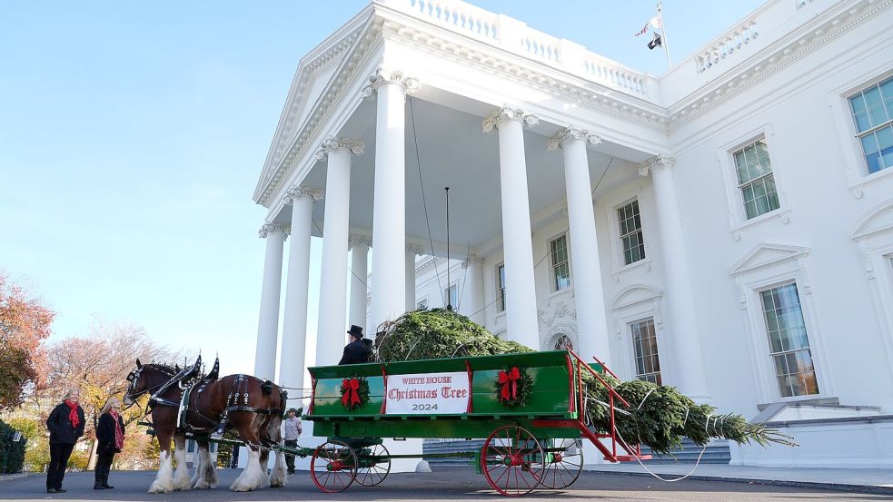 Der diesjährige Weihnachtsbaum stammt aus North Carolina. Foto: Susan Walsh/AP