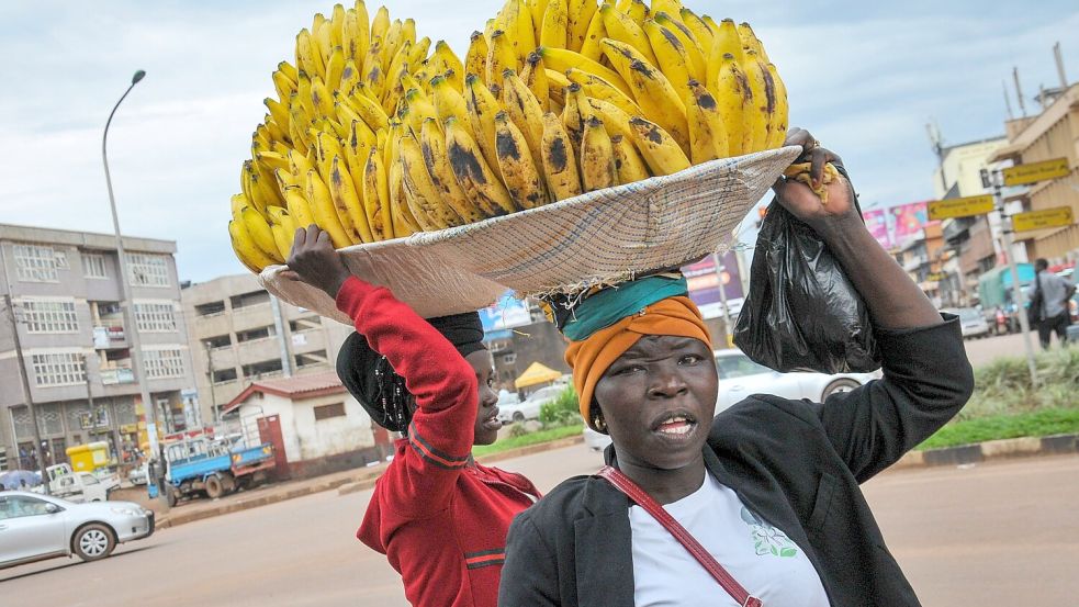 In einigen Ländern birgt die tägliche Einnahme schützender Tabletten das Risiko, im Umfeld als vermeintlich HIV-positiv abgestempelt zu werden. (Archivbild) Foto: Ronald Kabuubi/AP/dpa