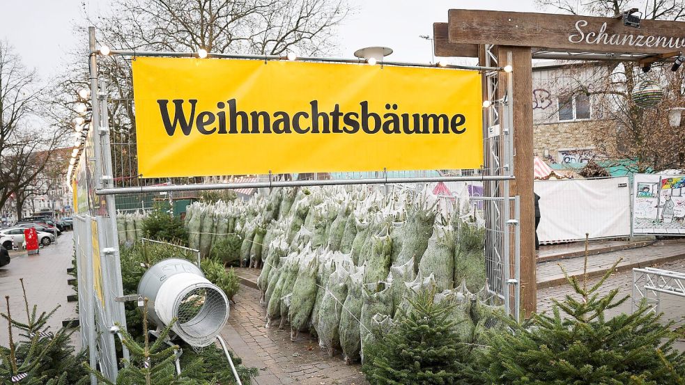 Weihnachtsbäume haben in Deutschland eigentlich immer Nadeln. (Archivbild) Foto: Christian Charisius/dpa