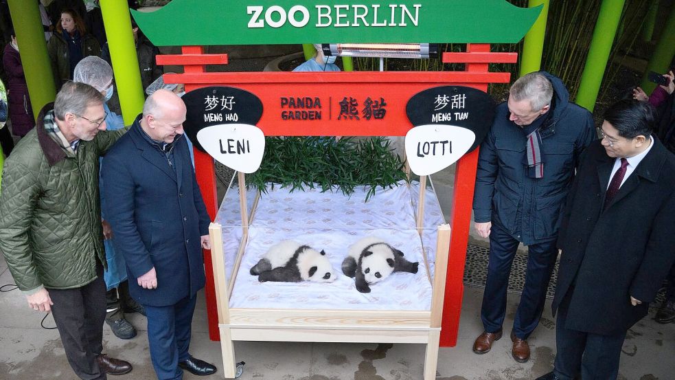 Erster gemeinsamer Auftritt von Leni und Lotti. Foto: Bernd von Jutrczenka/dpa