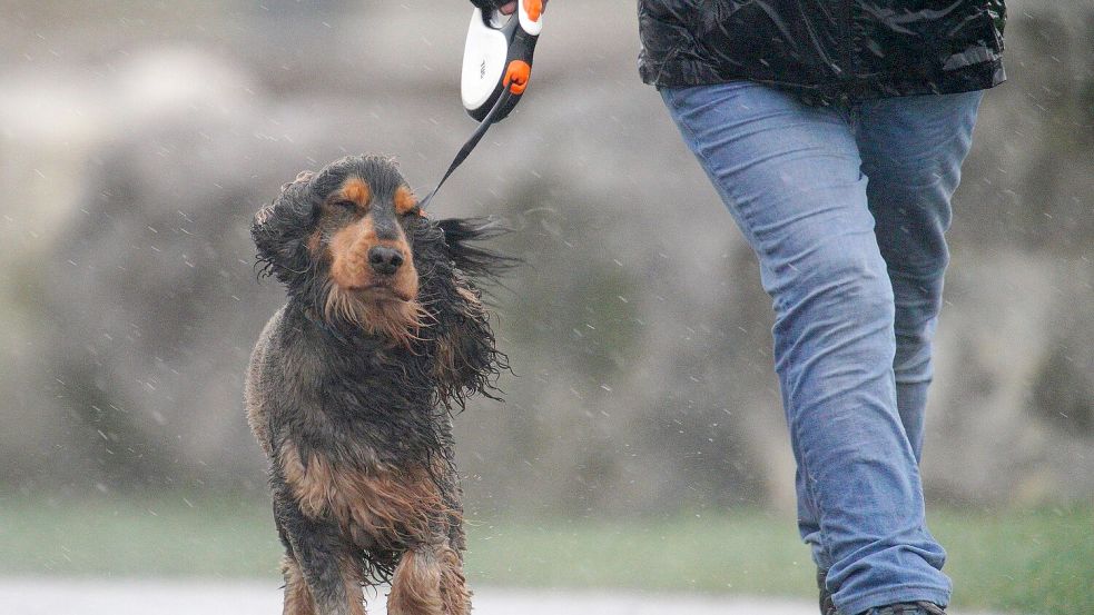 In Teilen von Wales galt die stärkste Wetterwarnung: „Lebensgefahr“. Foto: Ben Birchall/PA Wire/dpa