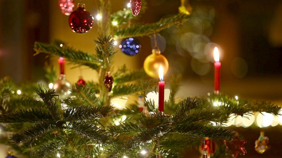 Kerzen brennen in einem Wohnzimmer an einem geschmückten Christbaum: heutzutage oft schon zeitiger im Dezember als früher. (Symbolbild) Foto: picture alliance / Karl-Josef Hildenbrand/dpa