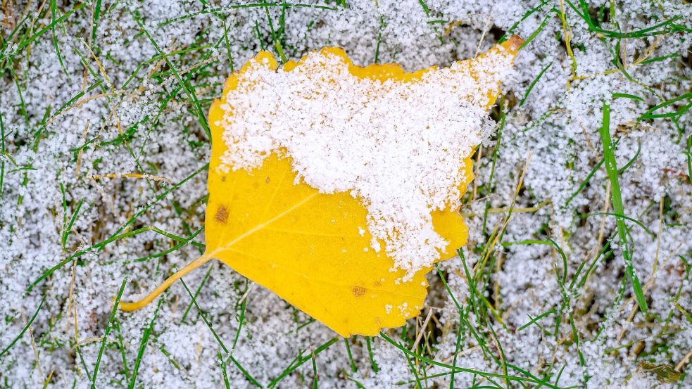 In der neuen Woche wird das Wetter winterlicher in Deutschland. (Archivbild) Foto: Patrick Pleul/dpa