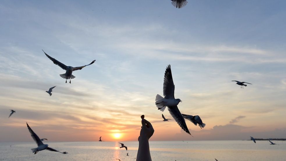 Sonnige Reiseziele wie Thailand sind laut Dertour in diesem Winter besonders gefragt. (Archivbild) Foto: Rachen Sageamsak/XinHua/dpa