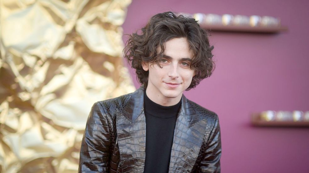 Kommt Timothée Chalamet mit dem Biopic zu Bob Dylan zur Berlinale? (Archivbild) Foto: Richard Shotwell/Invision/AP/dpa